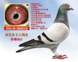 852