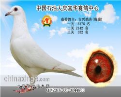 Ѫ硰ֱ