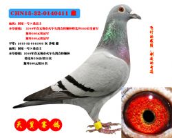 550Ǿ/ɼת