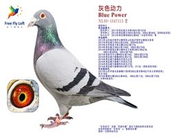 ɫx굤ɵֱӣ