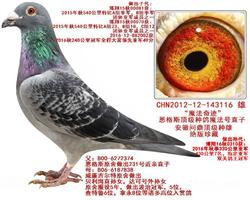 ħ漣Ʒ