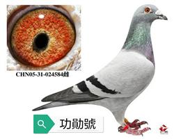 ˹塰ѫš