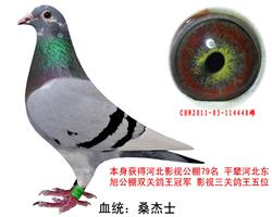 ɣʿĸ
