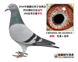 Ĺعھ