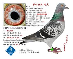 �Ϻ��λ�����֮�ϴ�