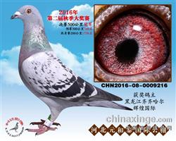 Ԫ̩ھ