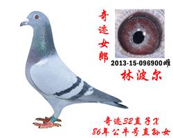 漣Ůֲ漣32Xţ