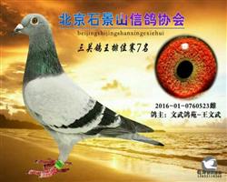 ʯɽЭ7λ
