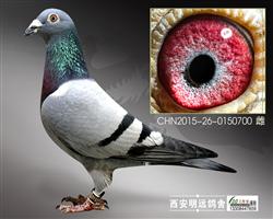 ҡǮ54λ񽱡