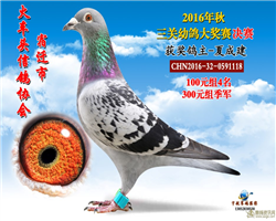 ̩С