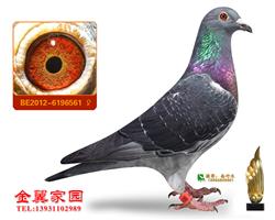 ˹Żƽ԰ͿֱŮ