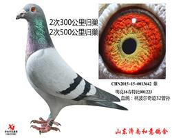 ֲ漣32