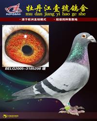 ȷɸֱӡ䡿