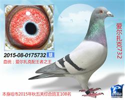 732
