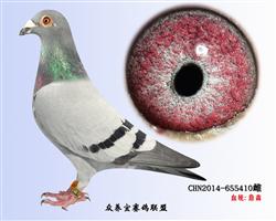 2Ŵ{ղɭ019ϰ}