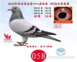 201658