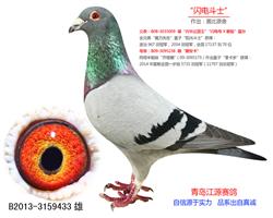 綷ʿ-Ǳ