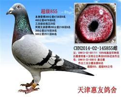 855