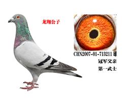 蹫ӡɣʿһʿ ھ֮
