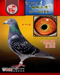 16꽭빫ظھ