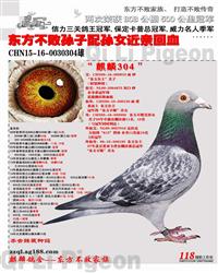 CHN15-16-0030304