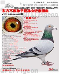 CHN15-16-0030336