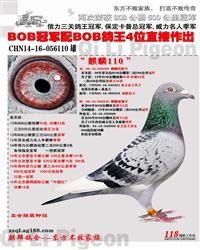 CHN14-16-056110