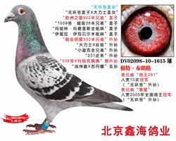 롰޻šֱ