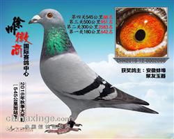 54588