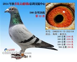 CHN2014-15-252154