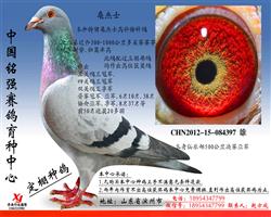 ���ֲ�500��������Ǿ�