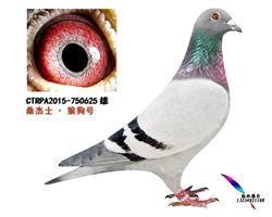 ̨ɣʿǹֱ