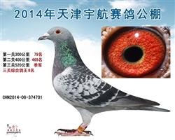 ����＾��