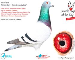 ŷԪֱŮ