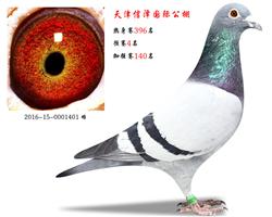 .Ӵ