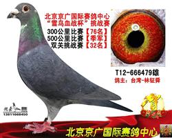 빫