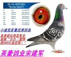 Ǿ/ɣ34010λ