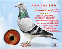 �����ӡ�����ݲ԰���ʿ���ֱ��������