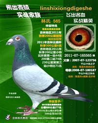 �ɳ�����Ѫ/³����ղɭ