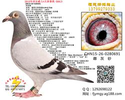 20154Pِ691