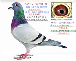 ʯ*罿