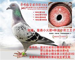 ����14��