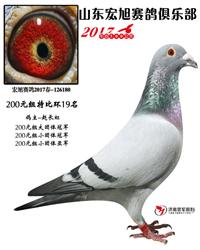 رȻʮ