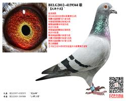 2014KBDBȫ4
