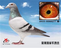 Ҷ277