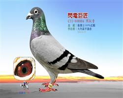 W늾޽