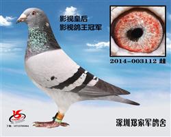 Ӱӻʺ
