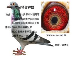 ɣʿ