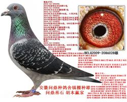ӮңƷ