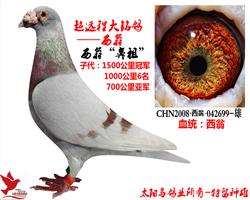 ̡桱